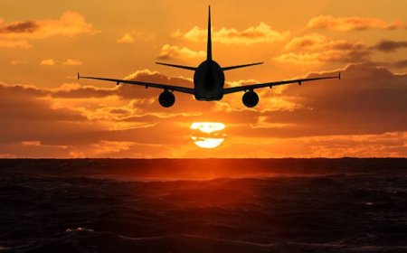 🛫 What Terminal Is EgyptAir at JFK? Everything You Need to Know Before You Fly