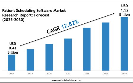Future Outlook of Patient Scheduling Software Market 2025–2030: Data & Forecasts