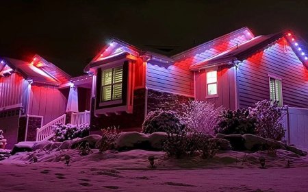 Digital Twins for Permanent Lighting: Try and Upgrade Your Lights Virtually