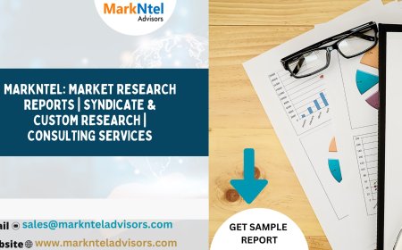 Senegal New Commercial Vehicle Market to Soar at Considerable Through 2030 | Trends, Drivers, and Forecast Analysis