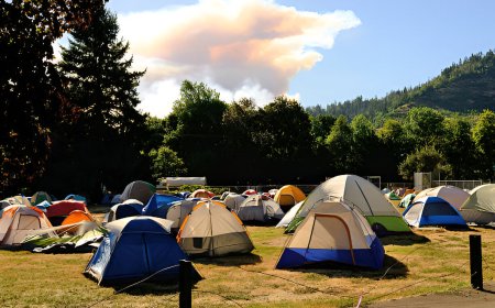 Camp Wonder Whirl A Summer of Superpowers