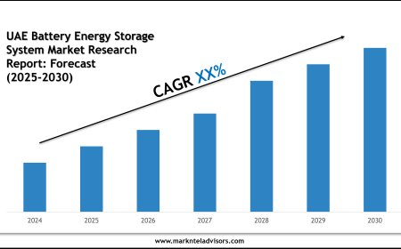 What Is the Market Size of UAE Battery Energy Storage System Market? Forecast & Trends 2025–2030
