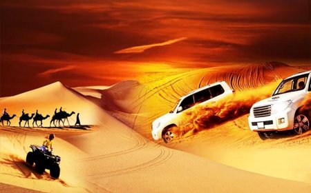 Your Ultimate Guide to Desert Safari Dubai Marina Packages