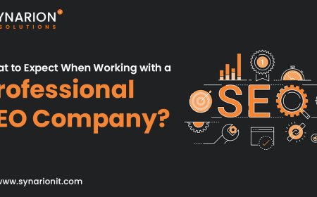 What to Expect When Working with a Professional SEO Company?