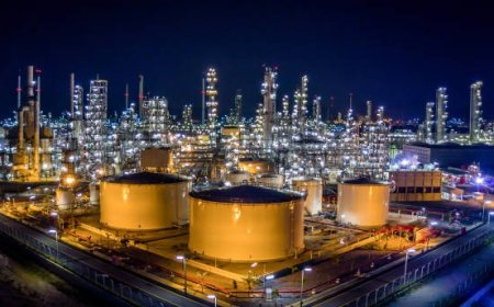 Microgreens Manufacturing Plant Feasibility Report- Raw Materials Requirement and Cost Involved