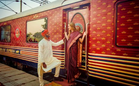 India Train Tours Packages: Luxury Journeys across the Land
