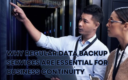 Why Regular Data Backup Services Are Essential for Business Continuity