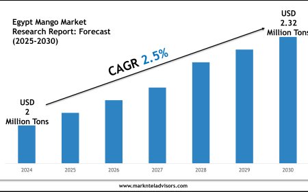 Egypt Mango Market Report 2025–2030: Outlook Featuring Fresh Fruits Company & Royal Egyptian Mangoes