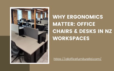 Why Ergonomics Matter: Office Chairs & Desks in NZ Workspaces