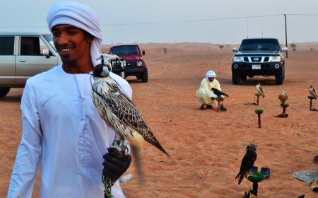 Discover the Magic of Dubai Falconry Experience