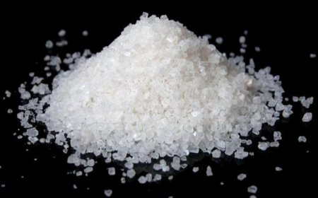 Sodium Chloride Production Cost Analysis 2025: A Detailed Guide