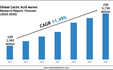 Lactic Acid Market Overview 2025–2030: Trends by Cargill and Kemin Industries