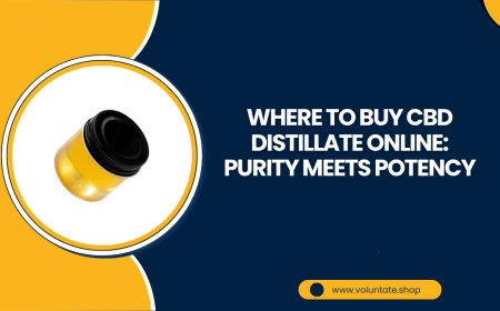 Where to Buy CBD Distillate Online: Purity Meets Potency
