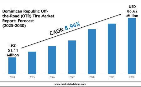Dominican Republic Off-the-Road (OTR) Tire Market Trends & Forecast: 2025–2030 Analysis on Bridgestone Corp., Michelin