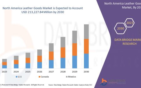 North America Leather Goods Market: Insights and Competitive Analysis