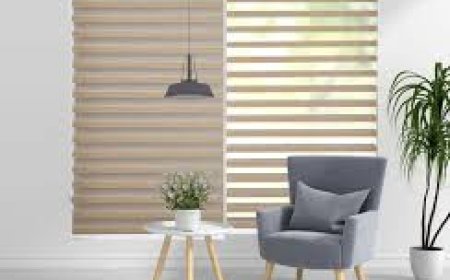 Stylish Roller Blinds Toronto Loves | Blindeco Blinds