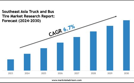 Future of Southeast Asia Truck and Bus Tire Market: Size, Growth & Key Players like Bridgestone Corporation, Michelin