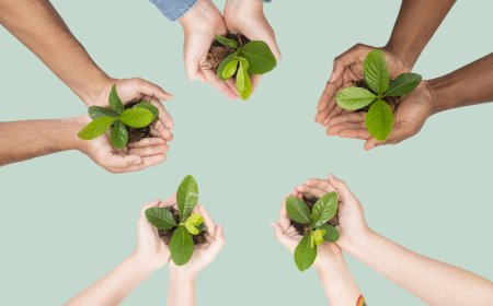 How Businesses Can Align with the Sustainable Development Goals