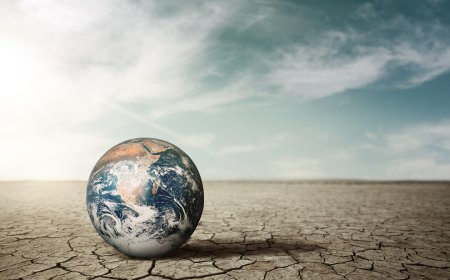 Can We Stop Global Warming Before It's Too Late?