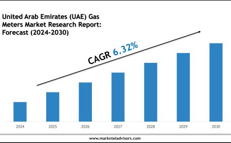 United Arab Emirates (UAE) Gas Meters Industry Growth to 2030: Market Insights from Elster Group (Honeywell) and Badger Meter Inc.