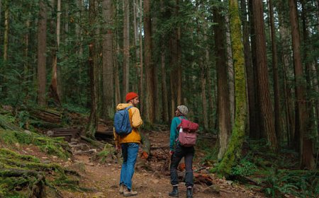 Best Canada Visit Visa Consultants in Pakistan for Fast Processing