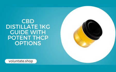 CBD Distillate 1KG Guide with Potent THCp Options