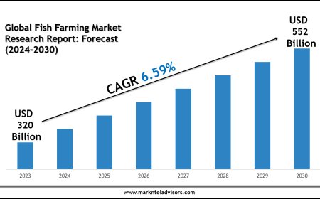 Future of Global Fish Farming Market Market: Size, Growth & Key Players like Bakkafrost, Thai Union Group PCL