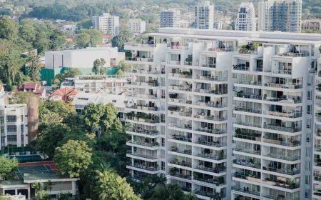 How to Evaluate the Location Before Purchasing a Real Estate Property