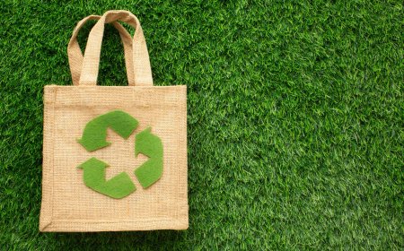 How Schools Can Benefit from Eco Friendly Products