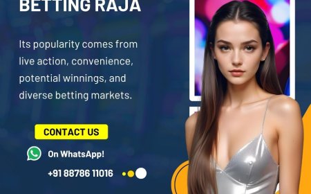 How Betting Raja curates its casino game portfolio for the Indian audience