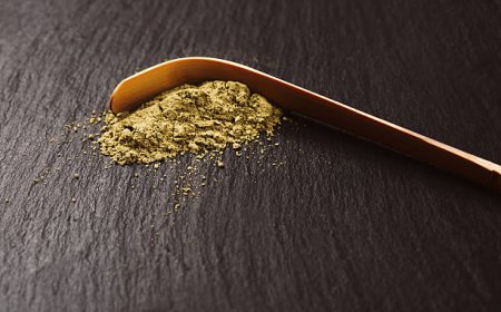 What Are the Possible Wellness Benefits of Wasabi Powder?
