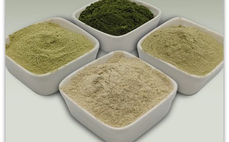 How to Pick the Best Wasabi Powder for Sushi That Tastes Like Japan