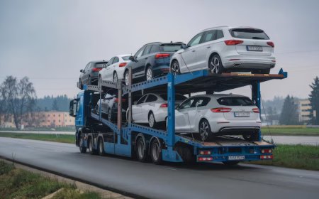 Car Transport Company Florida – Safe, Timely, and Professional Auto Relocation