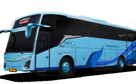 Things to Consider When Choosing A Charter Bus