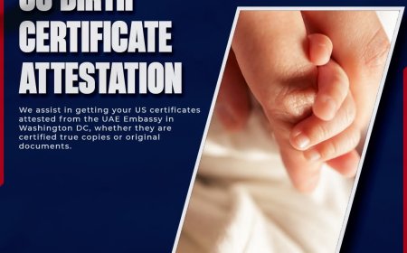 Why Benchmark Is Your Best Choice for US Birth Certificate Attestation