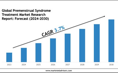Premenstrual Syndrome Treatment Market Charts, Data and Strategic Outlook 2030