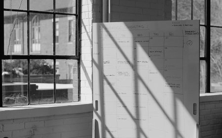 Unlocking Peak Performance The Transformative Power of Executive Business Coaching