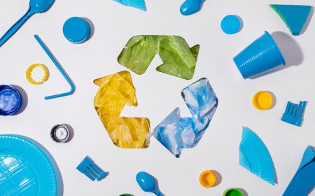 How Does Plastic Recycling Actually Work—And Is It Enough?