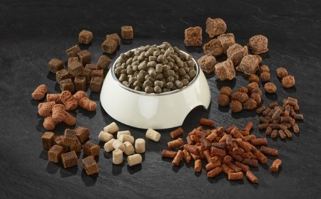 Pet Food Manufacturing Plant Project Report 2025: Setup Details
