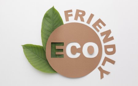 Benefits of Choosing Eco Friendly Plastic Bags Wholesale for Your Business