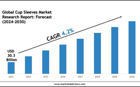 Cup Sleeves Market Scope, Volume and Executive Summary 2030