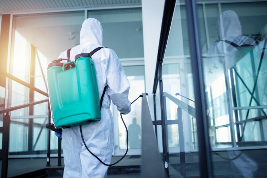 From Infestation to Elimination: Bed Bug Heat Control That Works