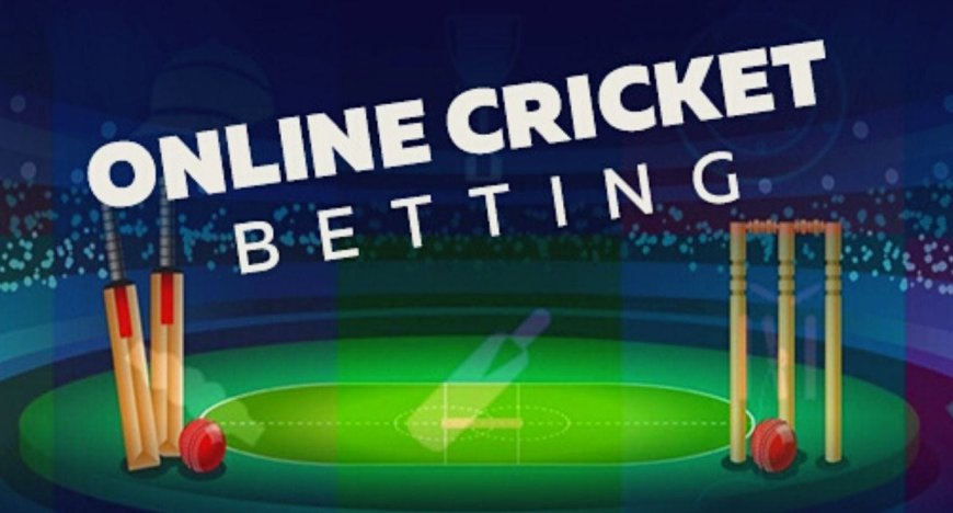 My 11xplay Experience: How I Discovered the Ultimate All-in-One Betting ID Platform