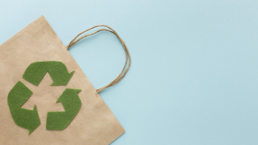 Eco Friendly Plastic Bags and the Fight Against Plastic Pollution