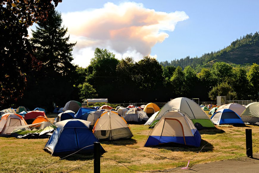 Camp Wonder Whirl A Summer of Superpowers