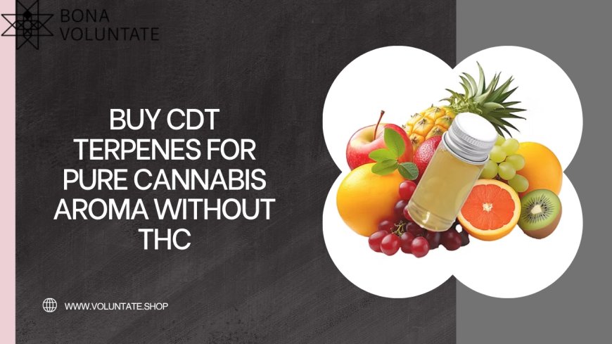 Buy CDT Terpenes for Pure Cannabis Aroma Without THC