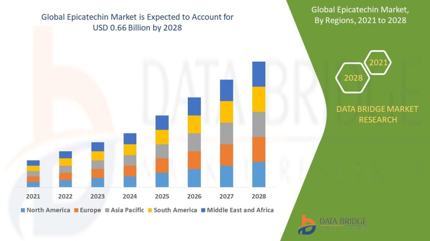 Epicatechin Market : Key Drivers and Restraints 2025 –2032