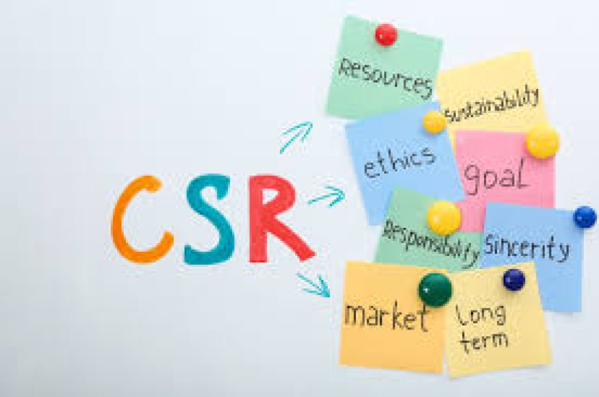 Why Hiring a CSR Consultant in Ghaziabad is Essential for Your Company’s Social Impact