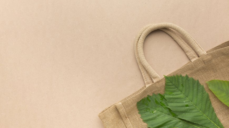 How Biodegradable Bags in Bangalore Support Sustainable Business Practices
