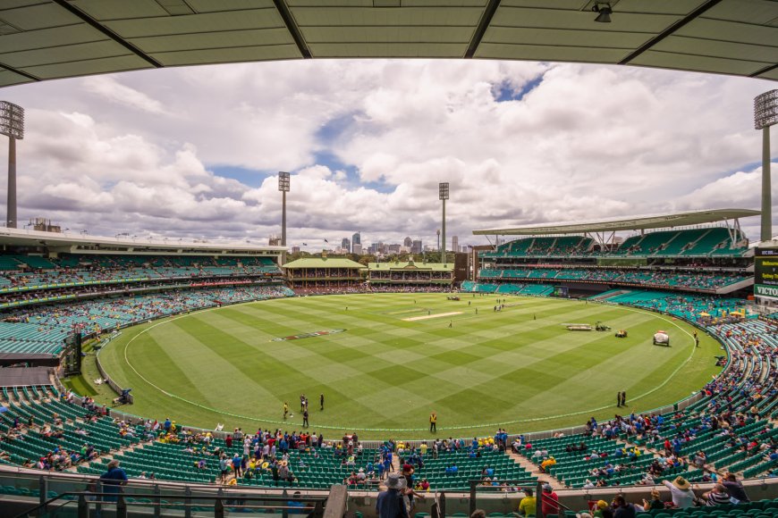 Laser247: Revolutionizing the Digital Cricket Experience